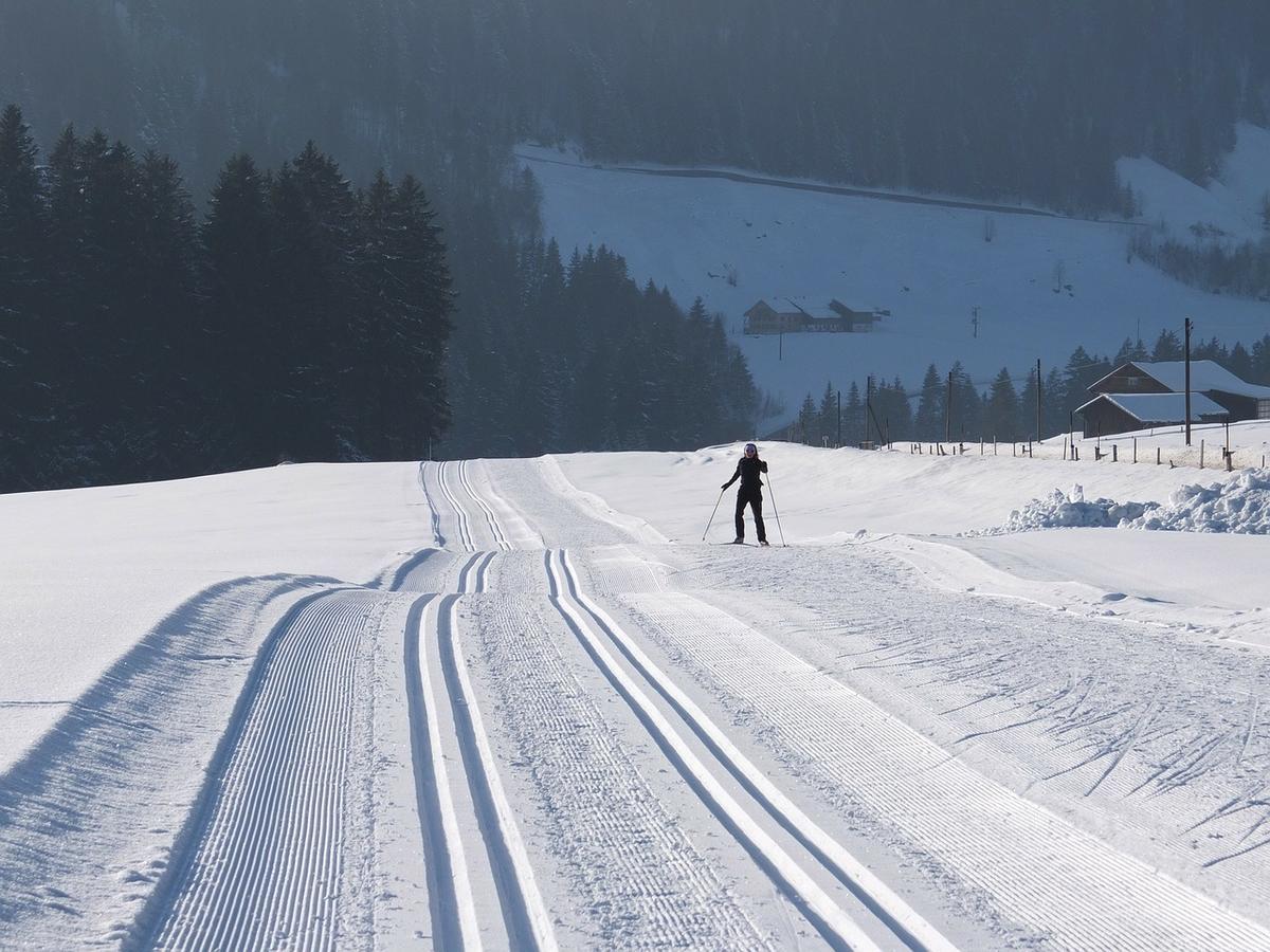 Landgasthof Pfeffermuehle Kotschach-Mauthen ห้อง รูปภาพ